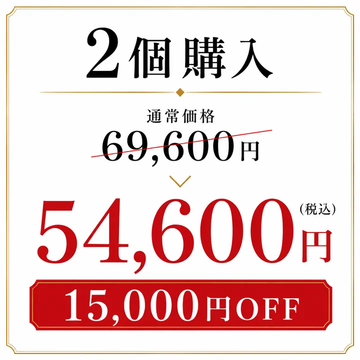2個購入 54,600円