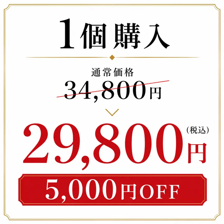 1個購入 29,800円